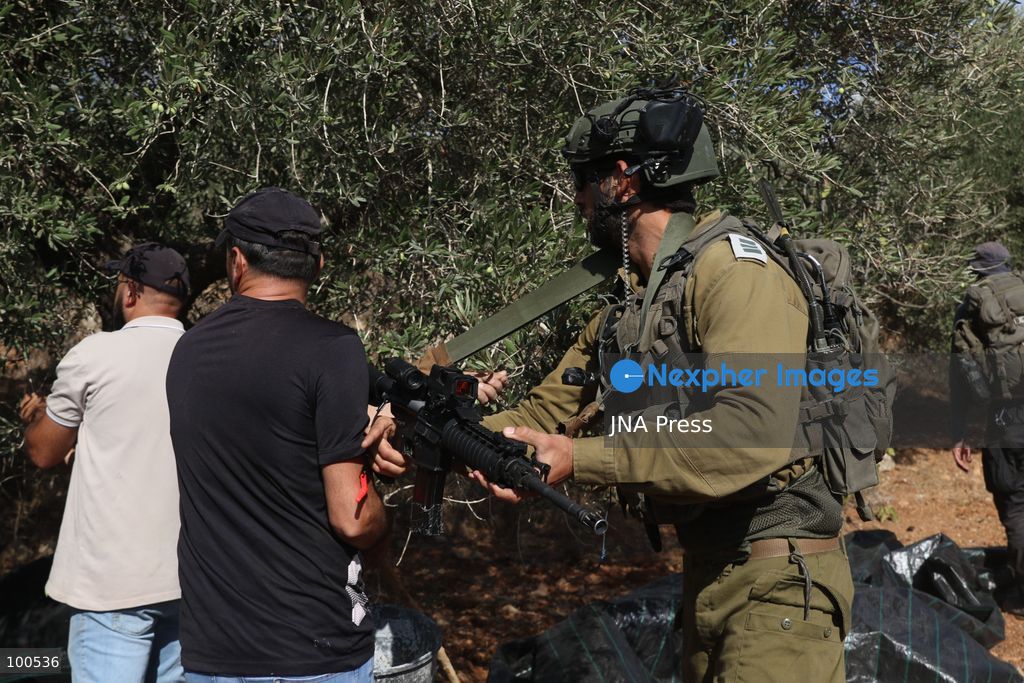 BEITA, NABLUS, PALESTINE – OCTOBER 2, 2026: Israeli settlers and Israeli forces attacked Palestinian farmers while they were picking olives in the Jabal Al-Arma area, east of Beita, south of Nablus. Settlers fired live ammunition toward the farmers, with no injuries reported. According to the Palestinian Red Crescent Society, Israeli forces also beat a 46-year-old Palestinian farmer during raids on olive farms in Beita. Witnesses told Anadolu that Israeli forces fired stun grenades and tear gas at farmers in the Jabal Al-Arma area, forcing them to leave. The olive harvest begins in early October and continues through the end of November, making it an important agricultural and economic season for Palestinian communities. The Palestinian Colonization and Wall Resistance Commission reported that more than 45,000 trees were cut down or damaged across the West Bank during the first half of 2026, including more than 26,000 olive trees. Photo by Salman Mohsen Alkhatib / JNA Press. (Photo by Salman Mohsen Alkhatib/JNA Press via Nexpher Images)