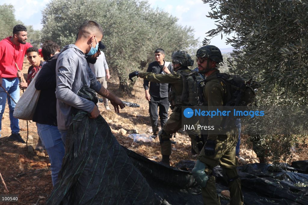 BEITA, NABLUS, PALESTINE – OCTOBER 2, 2026: Israeli settlers and Israeli forces attacked Palestinian farmers while they were picking olives in the Jabal Al-Arma area, east of Beita, south of Nablus. Settlers fired live ammunition toward the farmers, with no injuries reported. According to the Palestinian Red Crescent Society, Israeli forces also beat a 46-year-old Palestinian farmer during raids on olive farms in Beita. Witnesses told Anadolu that Israeli forces fired stun grenades and tear gas at farmers in the Jabal Al-Arma area, forcing them to leave. The olive harvest begins in early October and continues through the end of November, making it an important agricultural and economic season for Palestinian communities. The Palestinian Colonization and Wall Resistance Commission reported that more than 45,000 trees were cut down or damaged across the West Bank during the first half of 2026, including more than 26,000 olive trees. Photo by Salman Mohsen Alkhatib / JNA Press. (Photo by Salman Mohsen Alkhatib/JNA Press via Nexpher Images)