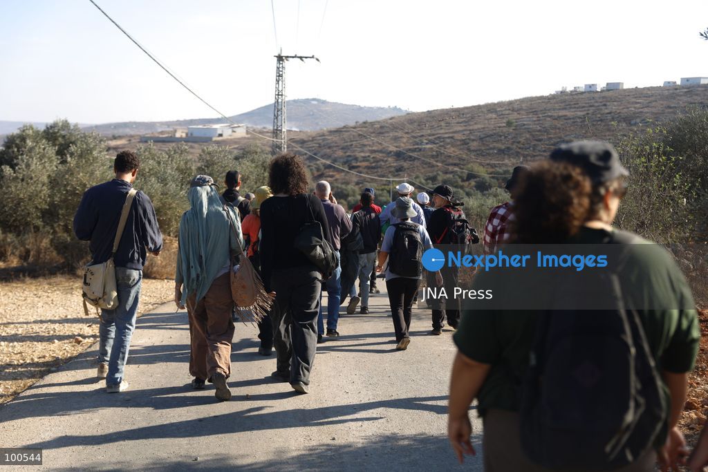BEITA, NABLUS, PALESTINE – OCTOBER 2, 2026: Israeli settlers and Israeli forces attacked Palestinian farmers while they were picking olives in the Jabal Al-Arma area, east of Beita, south of Nablus. Settlers fired live ammunition toward the farmers, with no injuries reported. According to the Palestinian Red Crescent Society, Israeli forces also beat a 46-year-old Palestinian farmer during raids on olive farms in Beita. Witnesses told Anadolu that Israeli forces fired stun grenades and tear gas at farmers in the Jabal Al-Arma area, forcing them to leave. The olive harvest begins in early October and continues through the end of November, making it an important agricultural and economic season for Palestinian communities. The Palestinian Colonization and Wall Resistance Commission reported that more than 45,000 trees were cut down or damaged across the West Bank during the first half of 2026, including more than 26,000 olive trees. Photo by Salman Mohsen Alkhatib / JNA Press. (Photo by Salman Mohsen Alkhatib/JNA Press via Nexpher Images)