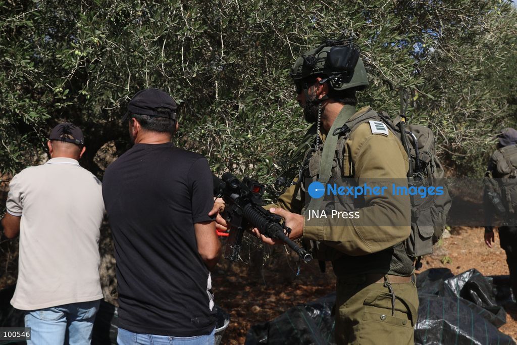 BEITA, NABLUS, PALESTINE – OCTOBER 2, 2026: Israeli settlers and Israeli forces attacked Palestinian farmers while they were picking olives in the Jabal Al-Arma area, east of Beita, south of Nablus. Settlers fired live ammunition toward the farmers, with no injuries reported. According to the Palestinian Red Crescent Society, Israeli forces also beat a 46-year-old Palestinian farmer during raids on olive farms in Beita. Witnesses told Anadolu that Israeli forces fired stun grenades and tear gas at farmers in the Jabal Al-Arma area, forcing them to leave. The olive harvest begins in early October and continues through the end of November, making it an important agricultural and economic season for Palestinian communities. The Palestinian Colonization and Wall Resistance Commission reported that more than 45,000 trees were cut down or damaged across the West Bank during the first half of 2026, including more than 26,000 olive trees. Photo by Salman Mohsen Alkhatib / JNA Press. (Photo by Salman Mohsen Alkhatib/JNA Press via Nexpher Images)