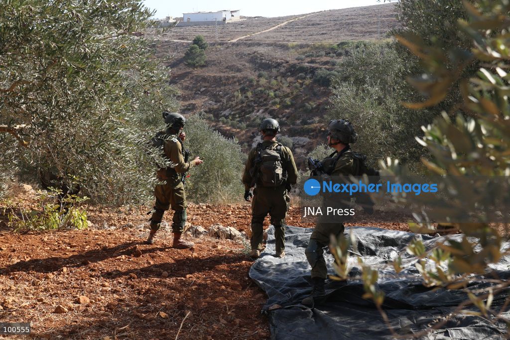 BEITA, NABLUS, PALESTINE – OCTOBER 2, 2026: Israeli settlers and Israeli forces attacked Palestinian farmers while they were picking olives in the Jabal Al-Arma area, east of Beita, south of Nablus. Settlers fired live ammunition toward the farmers, with no injuries reported. According to the Palestinian Red Crescent Society, Israeli forces also beat a 46-year-old Palestinian farmer during raids on olive farms in Beita. Witnesses told Anadolu that Israeli forces fired stun grenades and tear gas at farmers in the Jabal Al-Arma area, forcing them to leave. The olive harvest begins in early October and continues through the end of November, making it an important agricultural and economic season for Palestinian communities. The Palestinian Colonization and Wall Resistance Commission reported that more than 45,000 trees were cut down or damaged across the West Bank during the first half of 2026, including more than 26,000 olive trees. Photo by Salman Mohsen Alkhatib / JNA Press. (Photo by Salman Mohsen Alkhatib/JNA Press via Nexpher Images)