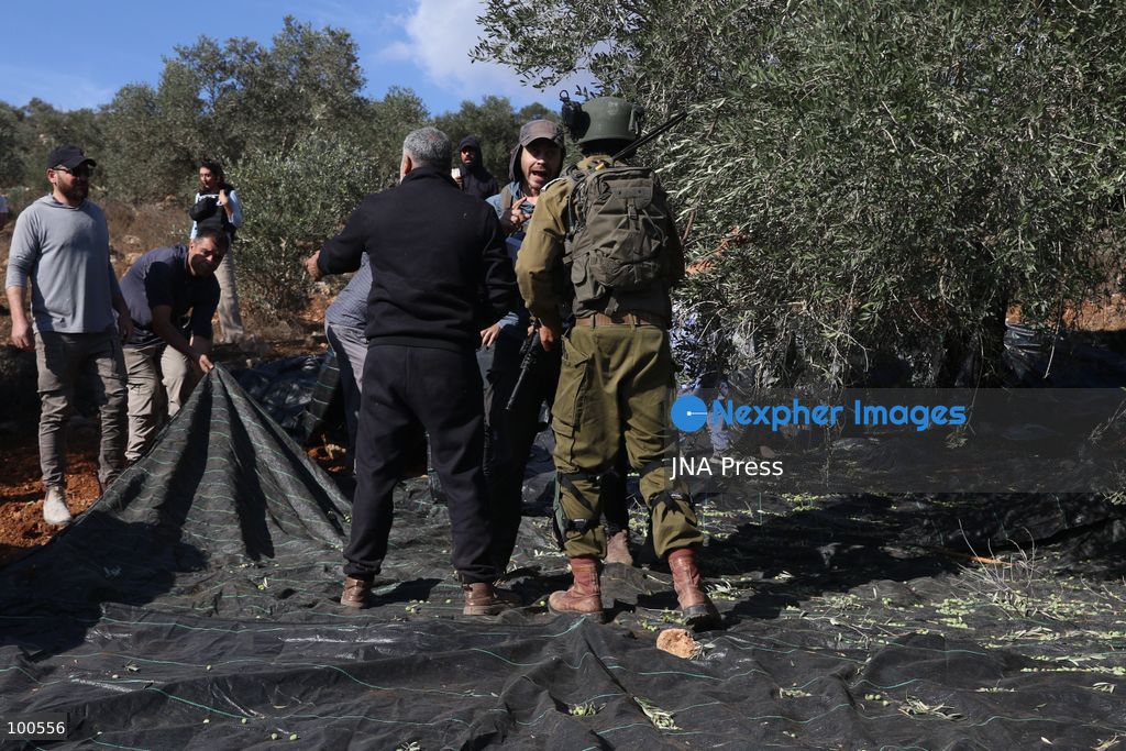 BEITA, NABLUS, PALESTINE – OCTOBER 2, 2026: Israeli settlers and Israeli forces attacked Palestinian farmers while they were picking olives in the Jabal Al-Arma area, east of Beita, south of Nablus. Settlers fired live ammunition toward the farmers, with no injuries reported. According to the Palestinian Red Crescent Society, Israeli forces also beat a 46-year-old Palestinian farmer during raids on olive farms in Beita. Witnesses told Anadolu that Israeli forces fired stun grenades and tear gas at farmers in the Jabal Al-Arma area, forcing them to leave. The olive harvest begins in early October and continues through the end of November, making it an important agricultural and economic season for Palestinian communities. The Palestinian Colonization and Wall Resistance Commission reported that more than 45,000 trees were cut down or damaged across the West Bank during the first half of 2026, including more than 26,000 olive trees. Photo by Salman Mohsen Alkhatib / JNA Press. (Photo by Salman Mohsen Alkhatib/JNA Press via Nexpher Images)