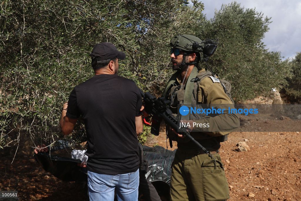 BEITA, NABLUS, PALESTINE – OCTOBER 2, 2026: Israeli settlers and Israeli forces attacked Palestinian farmers while they were picking olives in the Jabal Al-Arma area, east of Beita, south of Nablus. Settlers fired live ammunition toward the farmers, with no injuries reported. According to the Palestinian Red Crescent Society, Israeli forces also beat a 46-year-old Palestinian farmer during raids on olive farms in Beita. Witnesses told Anadolu that Israeli forces fired stun grenades and tear gas at farmers in the Jabal Al-Arma area, forcing them to leave. The olive harvest begins in early October and continues through the end of November, making it an important agricultural and economic season for Palestinian communities. The Palestinian Colonization and Wall Resistance Commission reported that more than 45,000 trees were cut down or damaged across the West Bank during the first half of 2026, including more than 26,000 olive trees. Photo by Salman Mohsen Alkhatib / JNA Press. (Photo by Salman Mohsen Alkhatib/JNA Press via Nexpher Images)