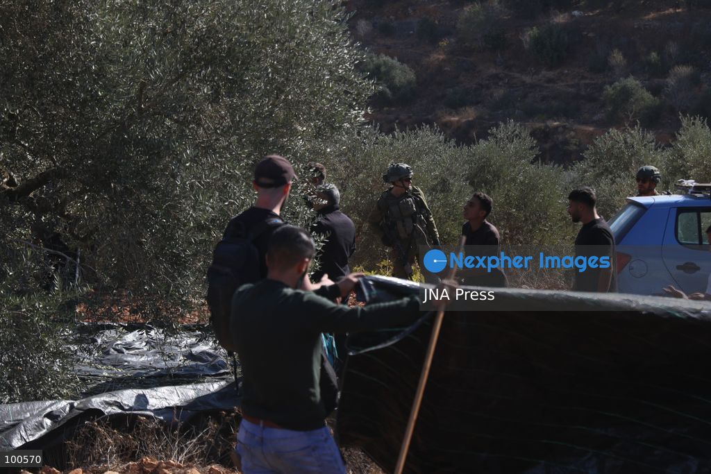 BEITA, NABLUS, PALESTINE – OCTOBER 2, 2026: Israeli settlers and Israeli forces attacked Palestinian farmers while they were picking olives in the Jabal Al-Arma area, east of Beita, south of Nablus. Settlers fired live ammunition toward the farmers, with no injuries reported. According to the Palestinian Red Crescent Society, Israeli forces also beat a 46-year-old Palestinian farmer during raids on olive farms in Beita. Witnesses told Anadolu that Israeli forces fired stun grenades and tear gas at farmers in the Jabal Al-Arma area, forcing them to leave. The olive harvest begins in early October and continues through the end of November, making it an important agricultural and economic season for Palestinian communities. The Palestinian Colonization and Wall Resistance Commission reported that more than 45,000 trees were cut down or damaged across the West Bank during the first half of 2026, including more than 26,000 olive trees. Photo by Salman Mohsen Alkhatib / JNA Press. (Photo by Salman Mohsen Alkhatib/JNA Press via Nexpher Images)