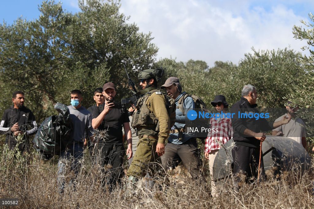 BEITA, NABLUS, PALESTINE – OCTOBER 2, 2026: Israeli settlers and Israeli forces attacked Palestinian farmers while they were picking olives in the Jabal Al-Arma area, east of Beita, south of Nablus. Settlers fired live ammunition toward the farmers, with no injuries reported. According to the Palestinian Red Crescent Society, Israeli forces also beat a 46-year-old Palestinian farmer during raids on olive farms in Beita. Witnesses told Anadolu that Israeli forces fired stun grenades and tear gas at farmers in the Jabal Al-Arma area, forcing them to leave. The olive harvest begins in early October and continues through the end of November, making it an important agricultural and economic season for Palestinian communities. The Palestinian Colonization and Wall Resistance Commission reported that more than 45,000 trees were cut down or damaged across the West Bank during the first half of 2026, including more than 26,000 olive trees. Photo by Salman Mohsen Alkhatib / JNA Press. (Photo by Salman Mohsen Alkhatib/JNA Press via Nexpher Images)