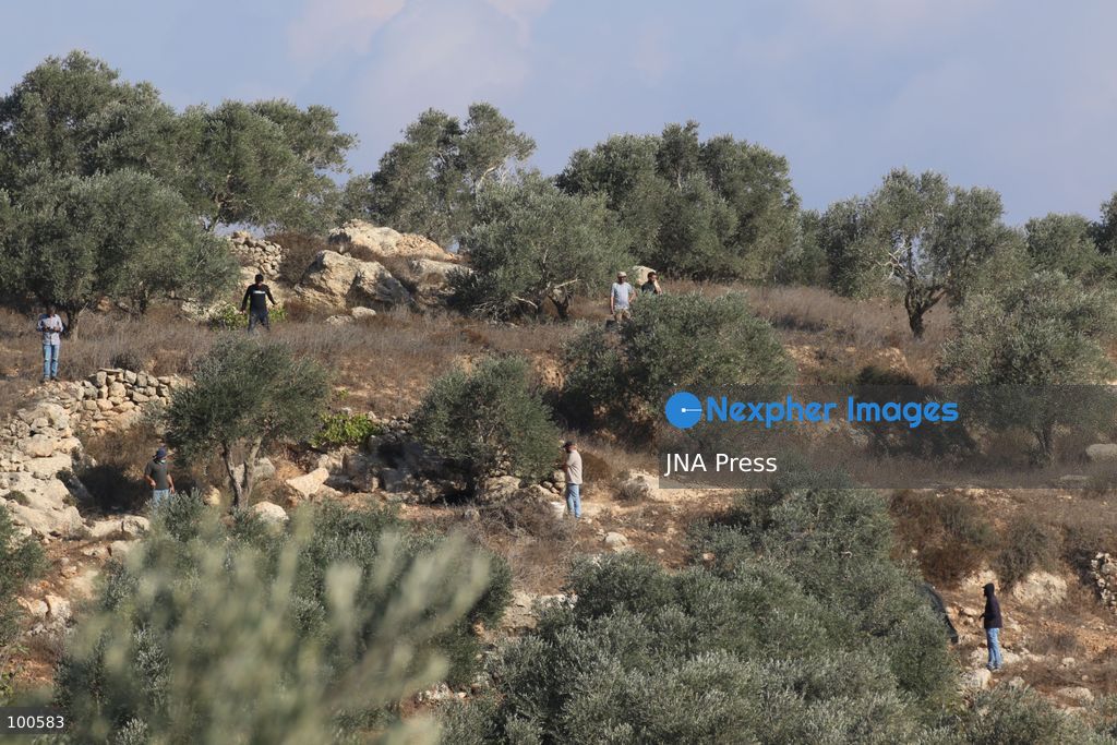 BEITA, NABLUS, PALESTINE – OCTOBER 2, 2026: Israeli settlers and Israeli forces attacked Palestinian farmers while they were picking olives in the Jabal Al-Arma area, east of Beita, south of Nablus. Settlers fired live ammunition toward the farmers, with no injuries reported. According to the Palestinian Red Crescent Society, Israeli forces also beat a 46-year-old Palestinian farmer during raids on olive farms in Beita. Witnesses told Anadolu that Israeli forces fired stun grenades and tear gas at farmers in the Jabal Al-Arma area, forcing them to leave. The olive harvest begins in early October and continues through the end of November, making it an important agricultural and economic season for Palestinian communities. The Palestinian Colonization and Wall Resistance Commission reported that more than 45,000 trees were cut down or damaged across the West Bank during the first half of 2026, including more than 26,000 olive trees. Photo by Salman Mohsen Alkhatib / JNA Press. (Photo by Salman Mohsen Alkhatib/JNA Press via Nexpher Images)
