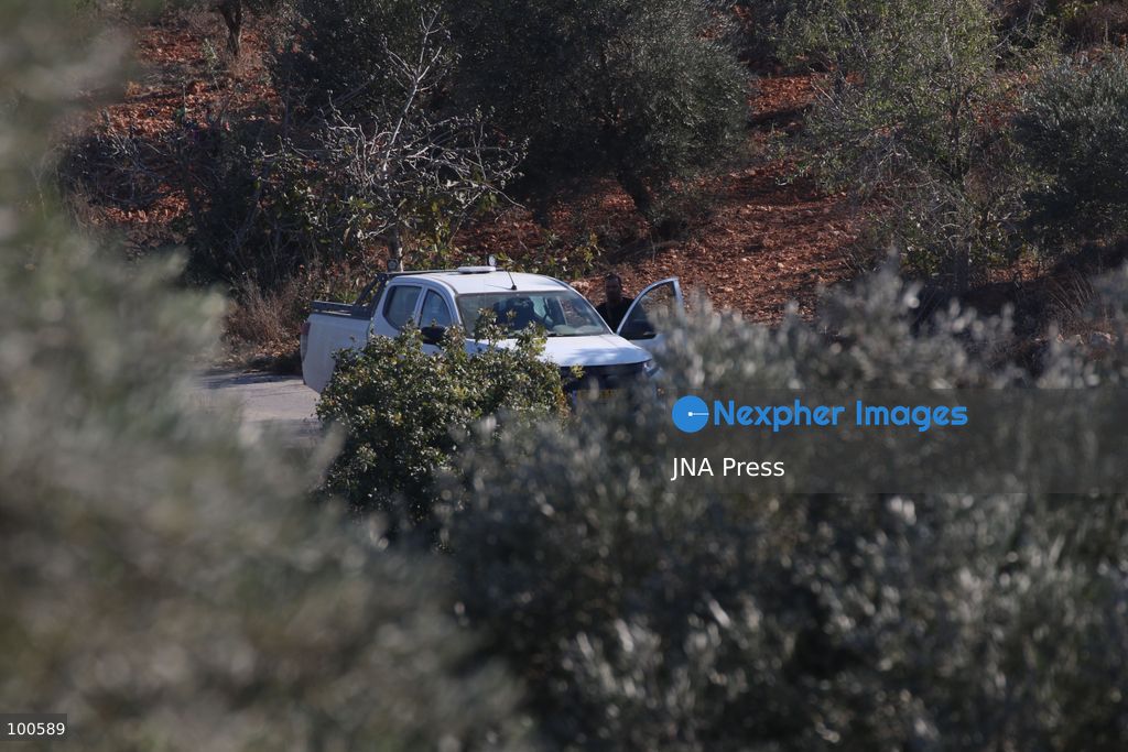 BEITA, NABLUS, PALESTINE – OCTOBER 2, 2026: Israeli settlers and Israeli forces attacked Palestinian farmers while they were picking olives in the Jabal Al-Arma area, east of Beita, south of Nablus. Settlers fired live ammunition toward the farmers, with no injuries reported. According to the Palestinian Red Crescent Society, Israeli forces also beat a 46-year-old Palestinian farmer during raids on olive farms in Beita. Witnesses told Anadolu that Israeli forces fired stun grenades and tear gas at farmers in the Jabal Al-Arma area, forcing them to leave. The olive harvest begins in early October and continues through the end of November, making it an important agricultural and economic season for Palestinian communities. The Palestinian Colonization and Wall Resistance Commission reported that more than 45,000 trees were cut down or damaged across the West Bank during the first half of 2026, including more than 26,000 olive trees. Photo by Salman Mohsen Alkhatib / JNA Press. (Photo by Salman Mohsen Alkhatib/JNA Press via Nexpher Images)