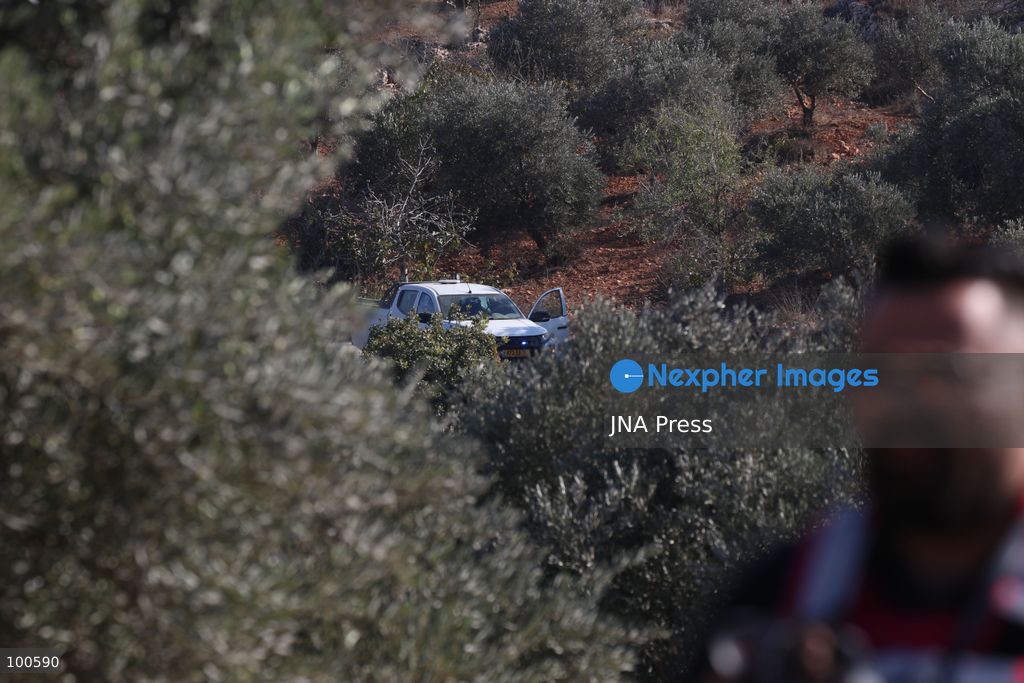 BEITA, NABLUS, PALESTINE – OCTOBER 2, 2026: Israeli settlers and Israeli forces attacked Palestinian farmers while they were picking olives in the Jabal Al-Arma area, east of Beita, south of Nablus. Settlers fired live ammunition toward the farmers, with no injuries reported. According to the Palestinian Red Crescent Society, Israeli forces also beat a 46-year-old Palestinian farmer during raids on olive farms in Beita. Witnesses told Anadolu that Israeli forces fired stun grenades and tear gas at farmers in the Jabal Al-Arma area, forcing them to leave. The olive harvest begins in early October and continues through the end of November, making it an important agricultural and economic season for Palestinian communities. The Palestinian Colonization and Wall Resistance Commission reported that more than 45,000 trees were cut down or damaged across the West Bank during the first half of 2026, including more than 26,000 olive trees. Photo by Salman Mohsen Alkhatib / JNA Press. (Photo by Salman Mohsen Alkhatib/JNA Press via Nexpher Images)
