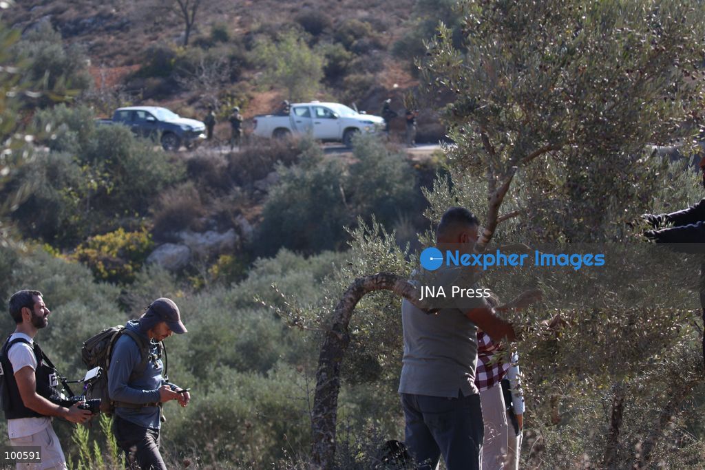 BEITA, NABLUS, PALESTINE – OCTOBER 2, 2026: Israeli settlers and Israeli forces attacked Palestinian farmers while they were picking olives in the Jabal Al-Arma area, east of Beita, south of Nablus. Settlers fired live ammunition toward the farmers, with no injuries reported. According to the Palestinian Red Crescent Society, Israeli forces also beat a 46-year-old Palestinian farmer during raids on olive farms in Beita. Witnesses told Anadolu that Israeli forces fired stun grenades and tear gas at farmers in the Jabal Al-Arma area, forcing them to leave. The olive harvest begins in early October and continues through the end of November, making it an important agricultural and economic season for Palestinian communities. The Palestinian Colonization and Wall Resistance Commission reported that more than 45,000 trees were cut down or damaged across the West Bank during the first half of 2026, including more than 26,000 olive trees. Photo by Salman Mohsen Alkhatib / JNA Press. (Photo by Salman Mohsen Alkhatib/JNA Press via Nexpher Images)