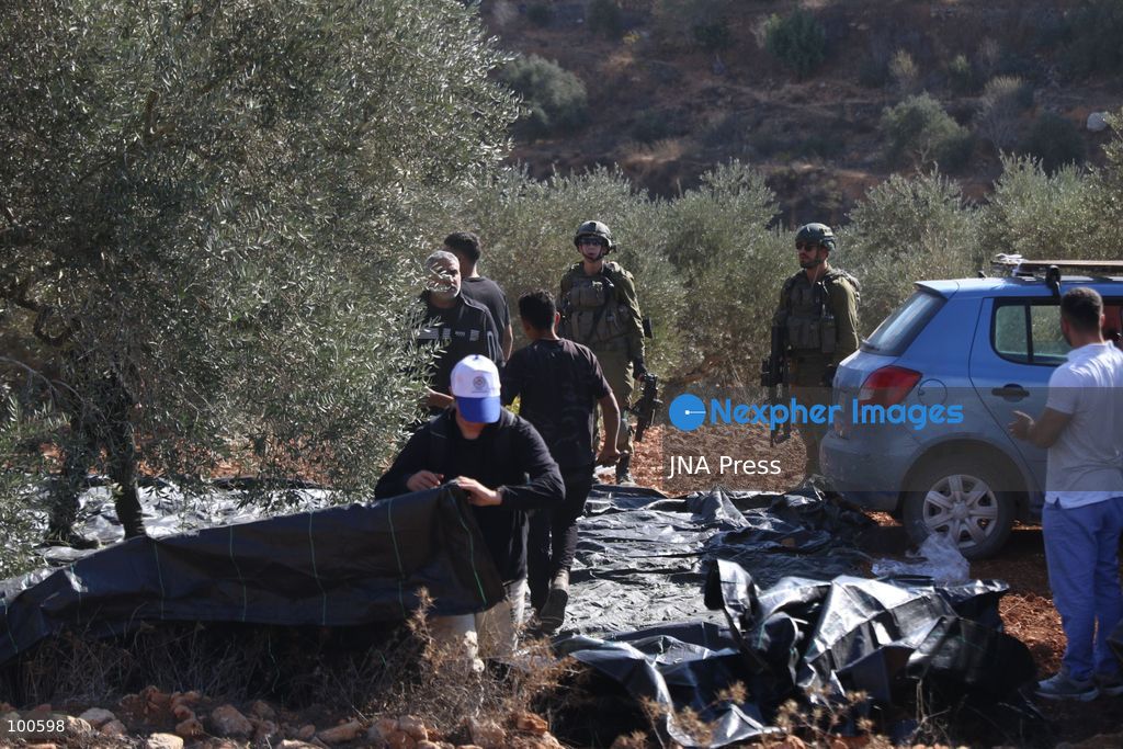 BEITA, NABLUS, PALESTINE – OCTOBER 2, 2026: Israeli settlers and Israeli forces attacked Palestinian farmers while they were picking olives in the Jabal Al-Arma area, east of Beita, south of Nablus. Settlers fired live ammunition toward the farmers, with no injuries reported. According to the Palestinian Red Crescent Society, Israeli forces also beat a 46-year-old Palestinian farmer during raids on olive farms in Beita. Witnesses told Anadolu that Israeli forces fired stun grenades and tear gas at farmers in the Jabal Al-Arma area, forcing them to leave. The olive harvest begins in early October and continues through the end of November, making it an important agricultural and economic season for Palestinian communities. The Palestinian Colonization and Wall Resistance Commission reported that more than 45,000 trees were cut down or damaged across the West Bank during the first half of 2026, including more than 26,000 olive trees. Photo by Salman Mohsen Alkhatib / JNA Press. (Photo by Salman Mohsen Alkhatib/JNA Press via Nexpher Images)