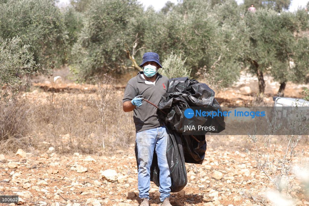 BEITA, NABLUS, PALESTINE – OCTOBER 2, 2026: Israeli settlers and Israeli forces attacked Palestinian farmers while they were picking olives in the Jabal Al-Arma area, east of Beita, south of Nablus. Settlers fired live ammunition toward the farmers, with no injuries reported. According to the Palestinian Red Crescent Society, Israeli forces also beat a 46-year-old Palestinian farmer during raids on olive farms in Beita. Witnesses told Anadolu that Israeli forces fired stun grenades and tear gas at farmers in the Jabal Al-Arma area, forcing them to leave. The olive harvest begins in early October and continues through the end of November, making it an important agricultural and economic season for Palestinian communities. The Palestinian Colonization and Wall Resistance Commission reported that more than 45,000 trees were cut down or damaged across the West Bank during the first half of 2026, including more than 26,000 olive trees. Photo by Salman Mohsen Alkhatib / JNA Press. (Photo by Salman Mohsen Alkhatib/JNA Press via Nexpher Images)