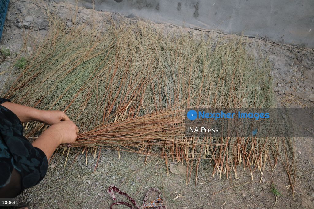 QARAQAJIN, KURDISTAN REGION, IRAQ, OCTOBER 2, 2026: Hajji Saniyya and other elderly women make traditional "Giska Gaza" brooms in the Qaraqajin sub-district of the Kurdistan Region of Iraq. The handmade brooms are produced from wild plants that are harvested, dried in the sun and carefully bundled and shaped by hand. Despite the availability of modern plastic alternatives, local women continue to preserve the traditional craft, with the natural brooms still used for sweeping courtyards and rough outdoor surfaces in rural communities. Photo by Sabur Rashid / JNA Press. (Photo by Sabur Rashid Othman/JNA Press via Nexpher Images)