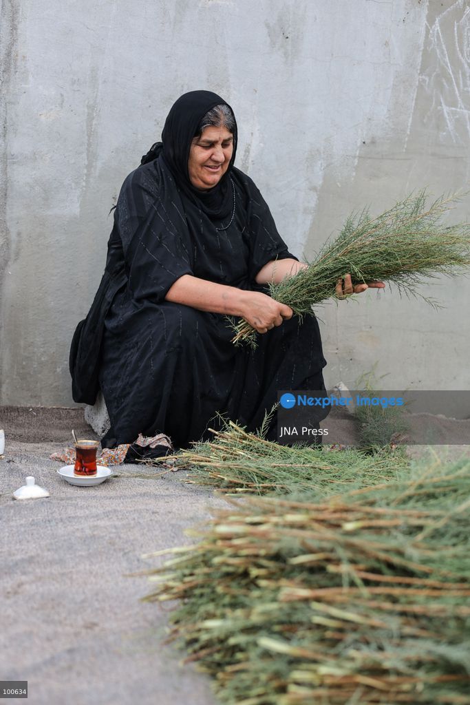 QARAQAJIN, KURDISTAN REGION, IRAQ, OCTOBER 2, 2026: Hajji Saniyya and other elderly women make traditional "Giska Gaza" brooms in the Qaraqajin sub-district of the Kurdistan Region of Iraq. The handmade brooms are produced from wild plants that are harvested, dried in the sun and carefully bundled and shaped by hand. Despite the availability of modern plastic alternatives, local women continue to preserve the traditional craft, with the natural brooms still used for sweeping courtyards and rough outdoor surfaces in rural communities. Photo by Sabur Rashid / JNA Press. (Photo by Sabur Rashid Othman/JNA Press via Nexpher Images)