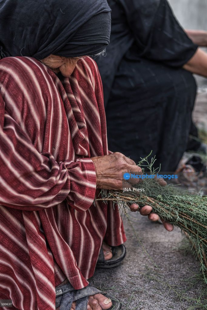 QARAQAJIN, KURDISTAN REGION, IRAQ, OCTOBER 2, 2026: Hajji Saniyya and other elderly women make traditional "Giska Gaza" brooms in the Qaraqajin sub-district of the Kurdistan Region of Iraq. The handmade brooms are produced from wild plants that are harvested, dried in the sun and carefully bundled and shaped by hand. Despite the availability of modern plastic alternatives, local women continue to preserve the traditional craft, with the natural brooms still used for sweeping courtyards and rough outdoor surfaces in rural communities. Photo by Sabur Rashid / JNA Press. (Photo by Sabur Rashid Othman/JNA Press via Nexpher Images)