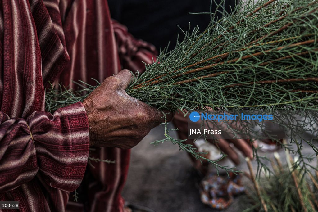 QARAQAJIN, KURDISTAN REGION, IRAQ, OCTOBER 2, 2026: Hajji Saniyya and other elderly women make traditional "Giska Gaza" brooms in the Qaraqajin sub-district of the Kurdistan Region of Iraq. The handmade brooms are produced from wild plants that are harvested, dried in the sun and carefully bundled and shaped by hand. Despite the availability of modern plastic alternatives, local women continue to preserve the traditional craft, with the natural brooms still used for sweeping courtyards and rough outdoor surfaces in rural communities. Photo by Sabur Rashid / JNA Press. (Photo by Sabur Rashid Othman/JNA Press via Nexpher Images)