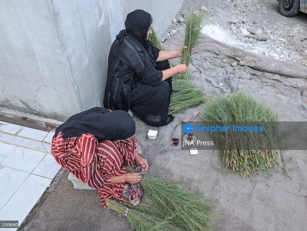 QARAQAJIN, KURDISTAN REGION, IRAQ, OCTOBER 2, 2026: Hajji Saniyya and other elderly women make traditional "Giska Gaza" brooms in the Qaraqajin sub-district of the Kurdistan Region of Iraq. The handmade brooms are produced from wild plants that are harvested, dried in the sun and carefully bundled and shaped by hand. Despite the availability of modern plastic alternatives, local women continue to preserve the traditional craft, with the natural brooms still used for sweeping courtyards and rough outdoor surfaces in rural communities. Photo by Sabur Rashid / JNA Press. (Photo by Sabur Rashid Othman/JNA Press via Nexpher Images)