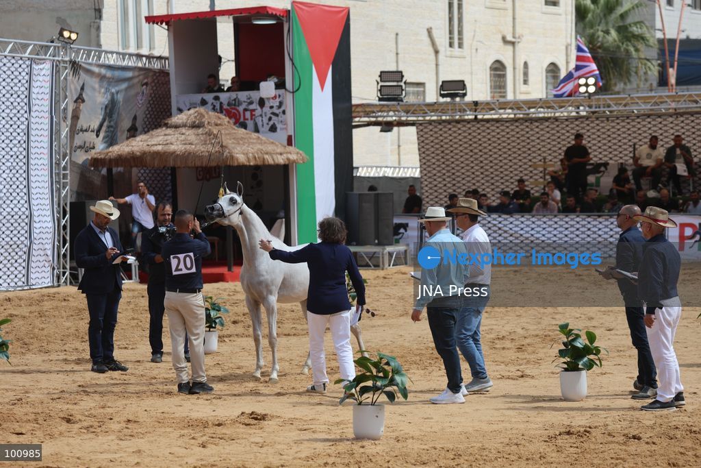 HEBRON, OCCUPIED WEST BANK, OCTOBER 2, 2026: Palestinian riders and horse breeders take part in a three-day Arabian horse beauty show in Hebron, featuring around 300 purebred Arabian horses. Participants from across the West Bank, Jerusalem and Palestinian communities inside Israel gathered for the event, which showcases the characteristics and bloodlines of Arabian horses and promotes horse breeding and equestrian competitions. Organizers and participants hope the event will help develop the Arabian horse show scene in Palestine and create opportunities for riders and breeders to participate in international competitions. Photo by Mosab Shawer / JNA Press. (Photo by Mosab shawer/JNA Press via Nexpher Images)