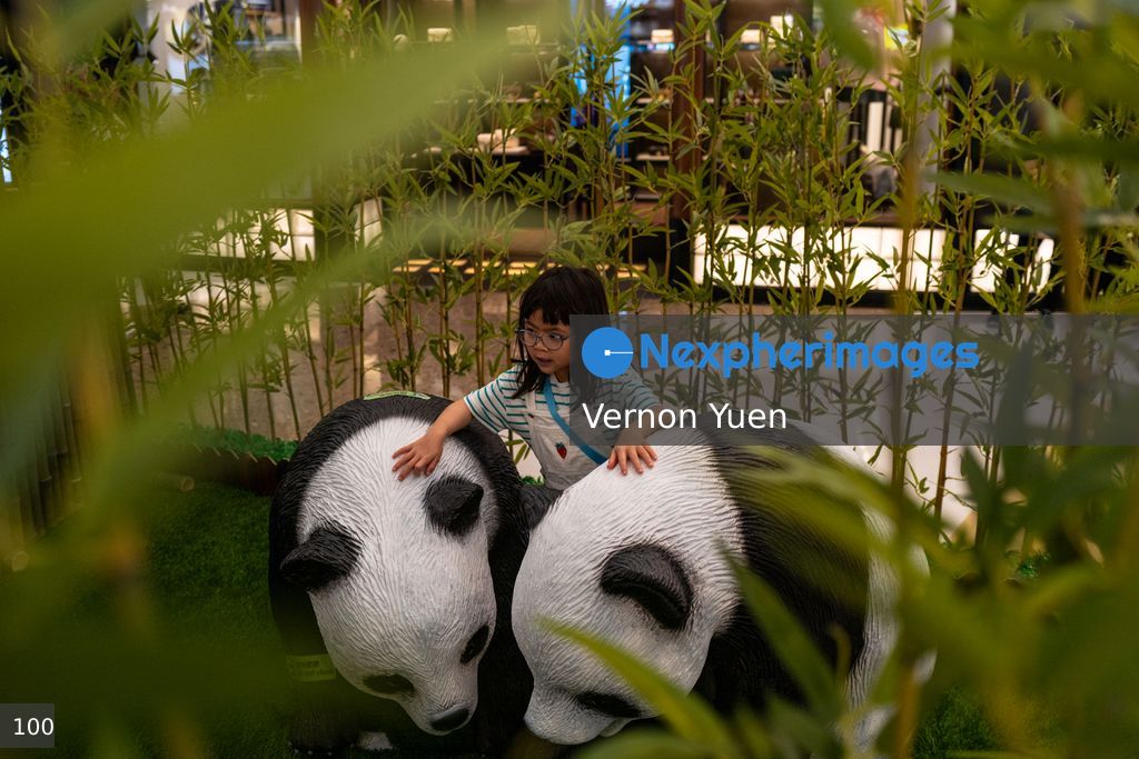 Hong Kong Daily Life