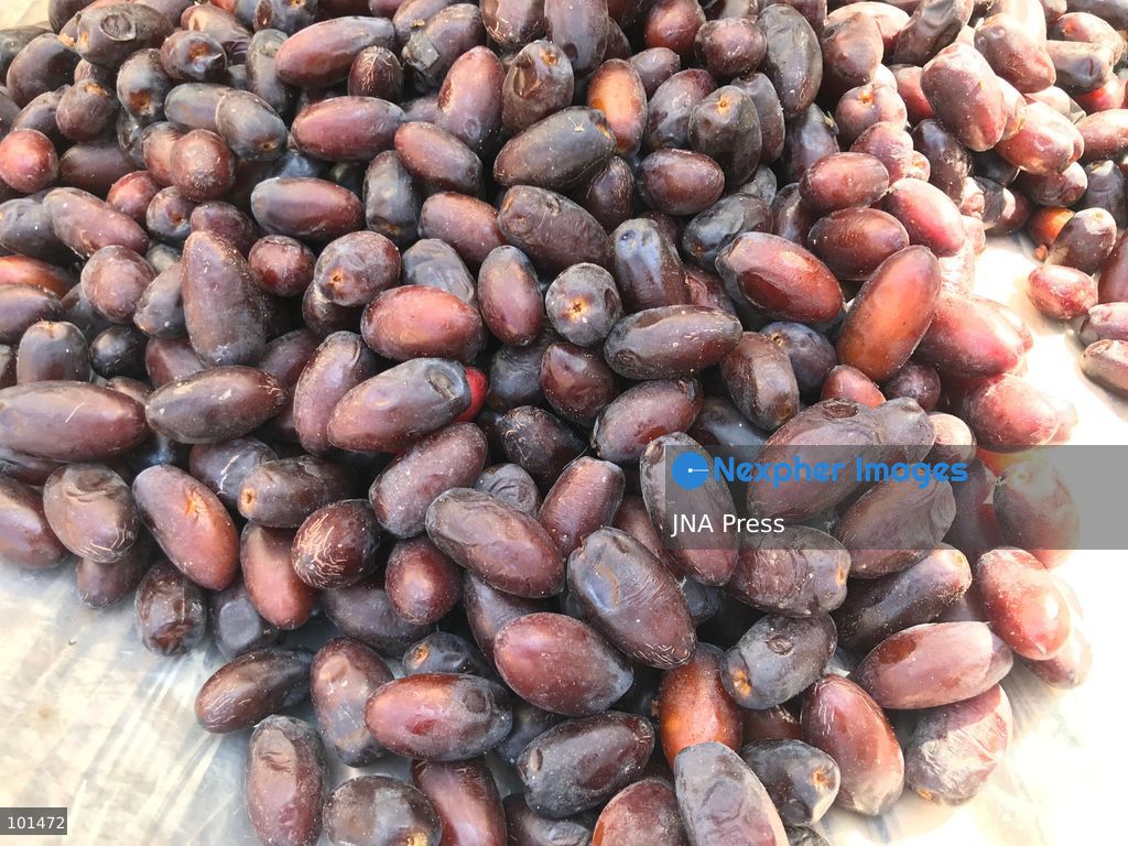 EL-ARISH, NORTH SINAI, EGYPT – OCTOBER 3, 2026: Post-production date skins, pits and dry non-food dates from the Majhal palm variety were spread under the sun to be repurposed as organic, nutrient-rich fodder for livestock in El-Arish. The process forms part of traditional handcrafted Ajwa production preserved by the Elshorbagy family in North Sinai. Photo by Mahmoud Elshorshorbagy / JNA Press. (Photo by Mahmoud H. Elshorbagy/JNA Press via Nexpher Images)