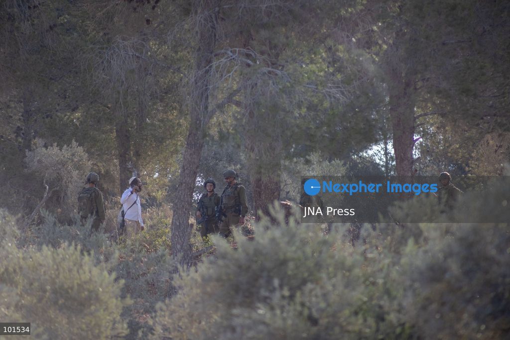 JABAL KAMAS, BEITA, PALESTINE – OCTOBER 3, 2026: Israeli forces arrested seven Palestinian residents who were attempting to harvest their land in Jabal Kamas, near Beita. According to the provided information, nearly 20 Israeli settlers from the “Mevaser Hashalom” outpost, also known as “Herald of Peace,” attacked the farmers as they began working, while Israeli soldiers opened live fire. The military later arrested seven Palestinian residents and declared the area a “closed military zone.” The incident occurred as Palestinian farmers attempted to access and harvest their agricultural land near Beita. Photo by Roman Levin / JNA Press. (Photo by Roman Levin/JNA Press via Nexpher Images)