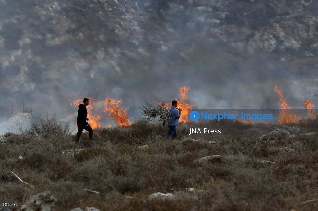 ASIRA AL-QIBLIYA, PALESTINE – OCTOBER 3, 2026: Palestinian farmers and civil defense personnel extinguished a fire in agricultural fields in Asira al-Qibliya village, south of Nablus, after Israeli army forces fired tear gas in the area. Israeli forces had prevented Palestinians from harvesting olives. Photo by Nedal Shtieh / JNA Press. (Photo by Nedal Shtieh/JNA Press via Nexpher Images)