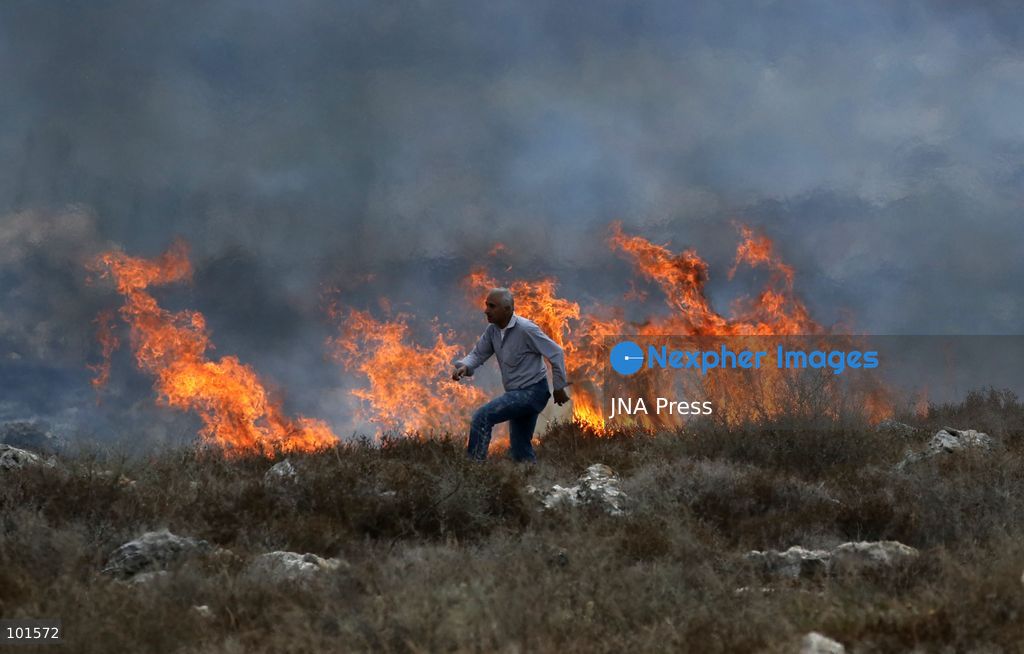 ASIRA AL-QIBLIYA, PALESTINE – OCTOBER 3, 2026: Palestinian farmers and civil defense personnel extinguished a fire in agricultural fields in Asira al-Qibliya village, south of Nablus, after Israeli army forces fired tear gas in the area. Israeli forces had prevented Palestinians from harvesting olives. Photo by Nedal Shtieh / JNA Press. (Photo by Nedal Shtieh/JNA Press via Nexpher Images)