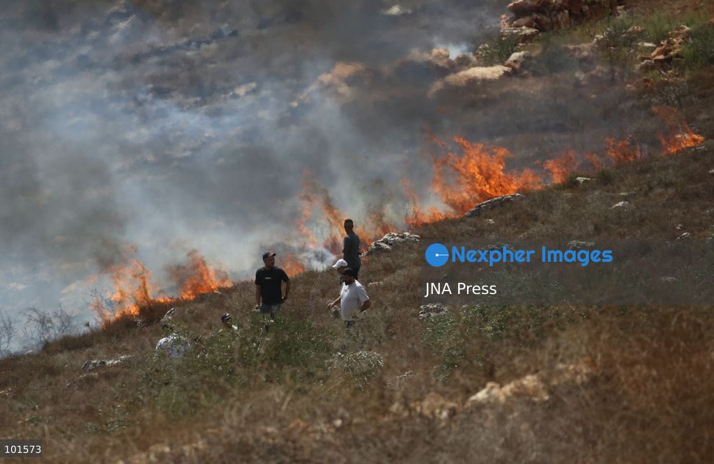 ASIRA AL-QIBLIYA, PALESTINE – OCTOBER 3, 2026: Palestinian farmers and civil defense personnel extinguished a fire in agricultural fields in Asira al-Qibliya village, south of Nablus, after Israeli army forces fired tear gas in the area. Israeli forces had prevented Palestinians from harvesting olives. Photo by Nedal Shtieh / JNA Press. (Photo by Nedal Shtieh/JNA Press via Nexpher Images)