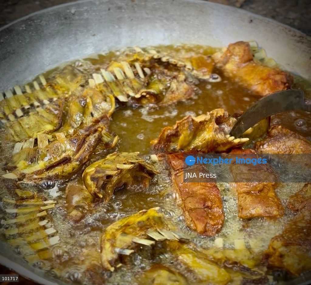 KULGAM, JAMMU AND KASHMIR, INDIA, OCTOBER 4, 2026: Traditional cooks prepare Wazwan, Kashmir's multi-course meat feast, in Kulgam. The elaborate meal remains an important part of Kashmiri weddings and other celebrations, with dishes traditionally prepared by specialist cooks known as wazas. The centuries-old culinary tradition continues to be practiced across Kashmir despite changing lifestyles and modern wedding customs. Photo by Hilal Zargar / JNA Press. (Photo by Hilal Zargar/JNA Press via Nexpher Images)