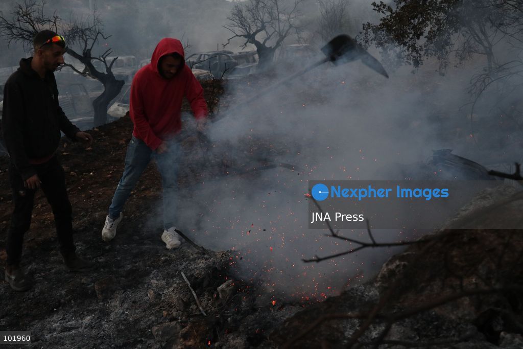SILWAD, WEST BANK, PALESTINE – OCTOBER 4, 2026: Israeli settlers set fire to olive trees and a car scrap yard between the villages of Ein Yabrud and Silwad, according to the information provided. The owner of the repair shop said more than 50 cars were destroyed in the fire. The incident occurred amid ongoing attacks targeting Palestinian property and agricultural land in the area. Fires affecting olive trees and other Palestinian property have also been reported in areas around Silwad. Photo by Salman Mohsen Alkhatib / JNA Press (Photo by Salman Mohsen Alkhatib/JNA Press via Nexpher Images)