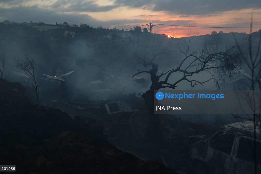 SILWAD, WEST BANK, PALESTINE – OCTOBER 4, 2026: Israeli settlers set fire to olive trees and a car scrap yard between the villages of Ein Yabrud and Silwad, according to the information provided. The owner of the repair shop said more than 50 cars were destroyed in the fire. The incident occurred amid ongoing attacks targeting Palestinian property and agricultural land in the area. Fires affecting olive trees and other Palestinian property have also been reported in areas around Silwad. Photo by Salman Mohsen Alkhatib / JNA Press (Photo by Salman Mohsen Alkhatib/JNA Press via Nexpher Images)