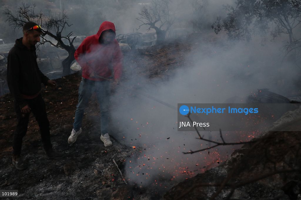 SILWAD, WEST BANK, PALESTINE – OCTOBER 4, 2026: Israeli settlers set fire to olive trees and a car scrap yard between the villages of Ein Yabrud and Silwad, according to the information provided. The owner of the repair shop said more than 50 cars were destroyed in the fire. The incident occurred amid ongoing attacks targeting Palestinian property and agricultural land in the area. Fires affecting olive trees and other Palestinian property have also been reported in areas around Silwad. Photo by Salman Mohsen Alkhatib / JNA Press (Photo by Salman Mohsen Alkhatib/JNA Press via Nexpher Images)