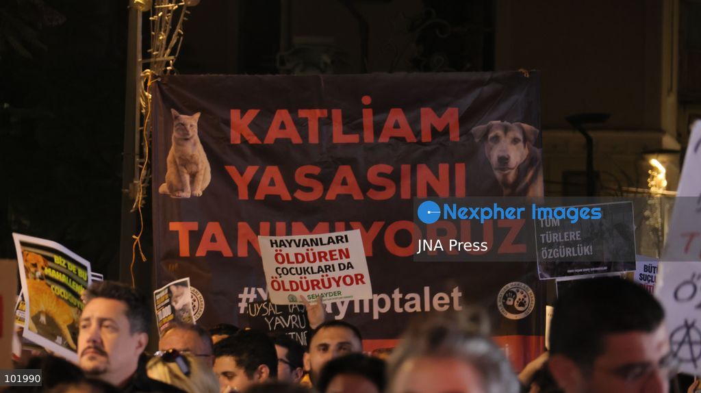 IZMIR, TURKEY – OCTOBER 4, 2026: Animal rights activists staged a protest in Izmir on World Animal Protection Day, opposing the decision to round up and euthanize stray animals. Members of the Izmir Right to Life Advocates gathered in front of Alsancak Train Station in the Konak district and protested against the Law Amending the Animal Protection Act, which was passed by the Grand National Assembly of Turkey on July 30, 2024, published in the Official Gazette on August 2, 2024, and entered into force. Activists marched from Alsancak Station along Cyprus Martyrs Street before gathering in front of the Türkan Saylan Cultural Center. Chanting slogans including “No to your laws, let the animals live” and “Government, resign,” the protesters formed a human chain to draw attention to animal rights. Photo by Turgay Kilic / JNA Press. (Photo by Turgay Kilic/JNA Press via Nexpher Images)