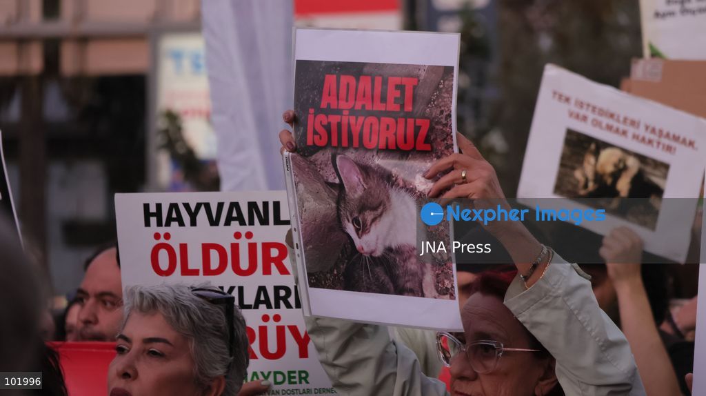 IZMIR, TURKEY – OCTOBER 4, 2026: Animal rights activists staged a protest in Izmir on World Animal Protection Day, opposing the decision to round up and euthanize stray animals. Members of the Izmir Right to Life Advocates gathered in front of Alsancak Train Station in the Konak district and protested against the Law Amending the Animal Protection Act, which was passed by the Grand National Assembly of Turkey on July 30, 2024, published in the Official Gazette on August 2, 2024, and entered into force. Activists marched from Alsancak Station along Cyprus Martyrs Street before gathering in front of the Türkan Saylan Cultural Center. Chanting slogans including “No to your laws, let the animals live” and “Government, resign,” the protesters formed a human chain to draw attention to animal rights. Photo by Turgay Kilic / JNA Press. (Photo by Turgay Kilic/JNA Press via Nexpher Images)