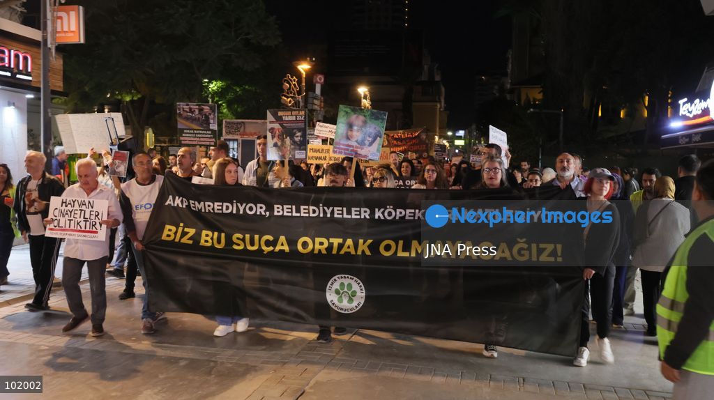 IZMIR, TURKEY – OCTOBER 4, 2026: Animal rights activists staged a protest in Izmir on World Animal Protection Day, opposing the decision to round up and euthanize stray animals. Members of the Izmir Right to Life Advocates gathered in front of Alsancak Train Station in the Konak district and protested against the Law Amending the Animal Protection Act, which was passed by the Grand National Assembly of Turkey on July 30, 2024, published in the Official Gazette on August 2, 2024, and entered into force. Activists marched from Alsancak Station along Cyprus Martyrs Street before gathering in front of the Türkan Saylan Cultural Center. Chanting slogans including “No to your laws, let the animals live” and “Government, resign,” the protesters formed a human chain to draw attention to animal rights. Photo by Turgay Kilic / JNA Press. (Photo by Turgay Kilic/JNA Press via Nexpher Images)