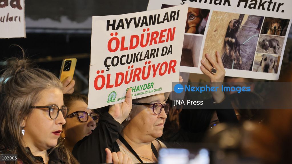 IZMIR, TURKEY – OCTOBER 4, 2026: Animal rights activists staged a protest in Izmir on World Animal Protection Day, opposing the decision to round up and euthanize stray animals. Members of the Izmir Right to Life Advocates gathered in front of Alsancak Train Station in the Konak district and protested against the Law Amending the Animal Protection Act, which was passed by the Grand National Assembly of Turkey on July 30, 2024, published in the Official Gazette on August 2, 2024, and entered into force. Activists marched from Alsancak Station along Cyprus Martyrs Street before gathering in front of the Türkan Saylan Cultural Center. Chanting slogans including “No to your laws, let the animals live” and “Government, resign,” the protesters formed a human chain to draw attention to animal rights. Photo by Turgay Kilic / JNA Press. (Photo by Turgay Kilic/JNA Press via Nexpher Images)