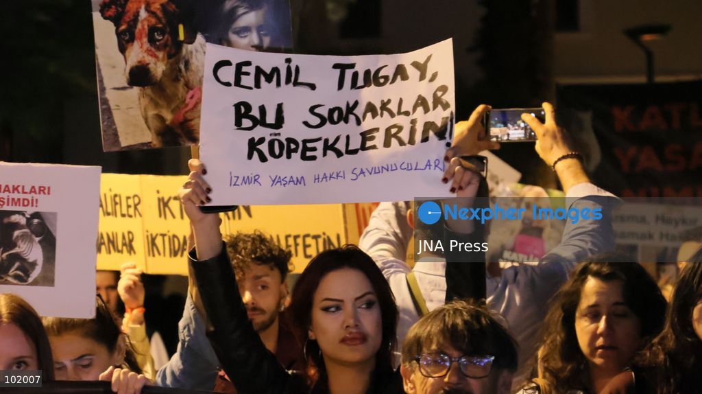 IZMIR, TURKEY – OCTOBER 4, 2026: Animal rights activists staged a protest in Izmir on World Animal Protection Day, opposing the decision to round up and euthanize stray animals. Members of the Izmir Right to Life Advocates gathered in front of Alsancak Train Station in the Konak district and protested against the Law Amending the Animal Protection Act, which was passed by the Grand National Assembly of Turkey on July 30, 2024, published in the Official Gazette on August 2, 2024, and entered into force. Activists marched from Alsancak Station along Cyprus Martyrs Street before gathering in front of the Türkan Saylan Cultural Center. Chanting slogans including “No to your laws, let the animals live” and “Government, resign,” the protesters formed a human chain to draw attention to animal rights. Photo by Turgay Kilic / JNA Press. (Photo by Turgay Kilic/JNA Press via Nexpher Images)