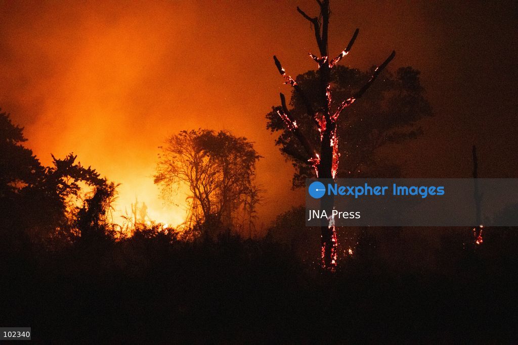 JAMBI, INDONESIA, OCTOBER 6, 2026: Firefighters battle a land fire burning through trees and vegetation in the Penyengat Rendah area of Jambi City, as local residents observe the blaze. Forest and land fires across parts of Jambi and Sumatra continue to affect air quality and raise environmental concerns during the dry season. Photo by Prabanndaru Wahyuaji / JNA Press. (Photo by Prabanndaru Wahyuaji/JNA Press via Nexpher Images)
