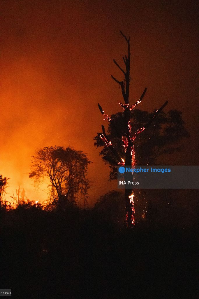 JAMBI, INDONESIA, OCTOBER 6, 2026: Firefighters battle a land fire burning through trees and vegetation in the Penyengat Rendah area of Jambi City, as local residents observe the blaze. Forest and land fires across parts of Jambi and Sumatra continue to affect air quality and raise environmental concerns during the dry season. Photo by Prabanndaru Wahyuaji / JNA Press. (Photo by Prabanndaru Wahyuaji/JNA Press via Nexpher Images)