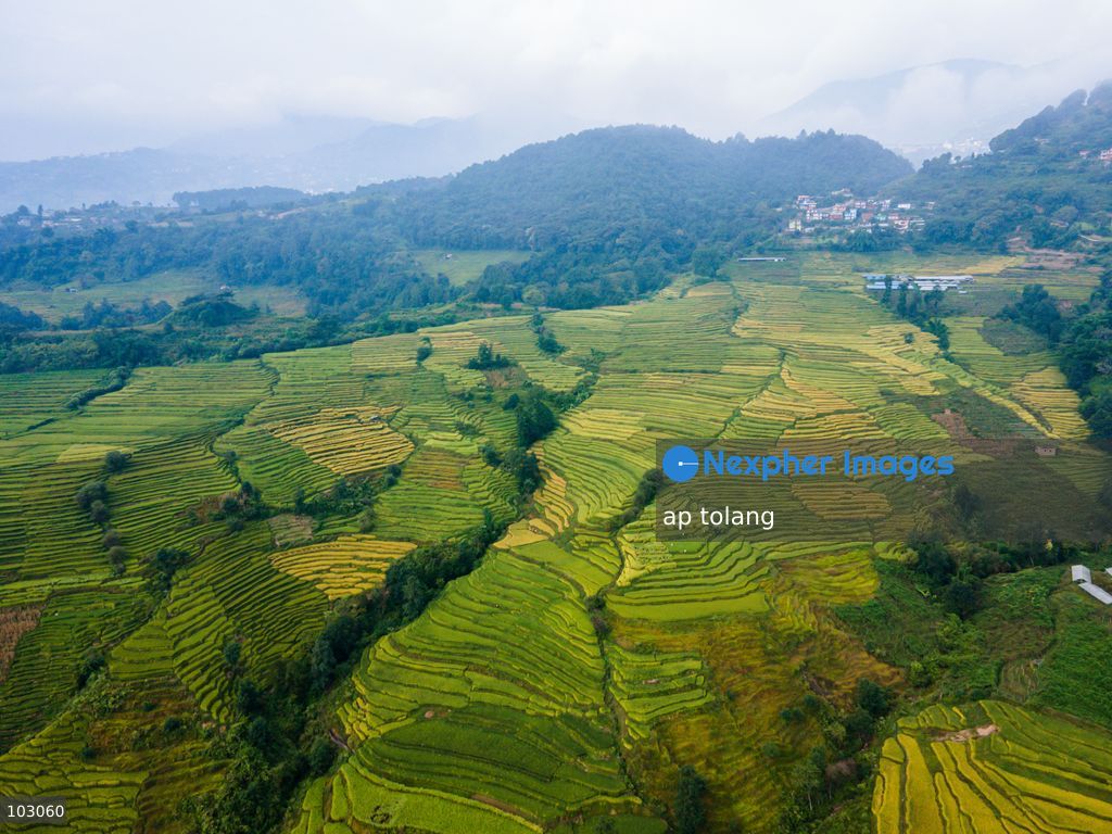 An aerial view shows golden-colored paddy fields on terraced farmland on the outskirts of Kathmandu, Nepal, on October 7, 2026. The fields reflect the autumn harvest season in the Kathmandu Valley. (Photo by ap tolang/Nexpher Images)