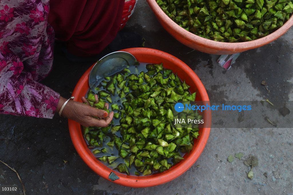 BANDIPORA, JAMMU AND KASHMIR, INDIA, OCTOBER 7, 2026: Workers harvest water chestnuts using traditional wooden boats and hand tools in the waterways of Bandipora, northern Kashmir. The seasonal harvest provides a source of income for local communities, with workers collecting the aquatic crop before cleaning, sorting and selling it in local markets. Water chestnut harvesting remains part of the region's traditional agricultural activities and rural livelihoods. Photo by Sakib Majeed Mir / JNA Press. (Photo by Sakib Majeed Mir/JNA Press via Nexpher Images)