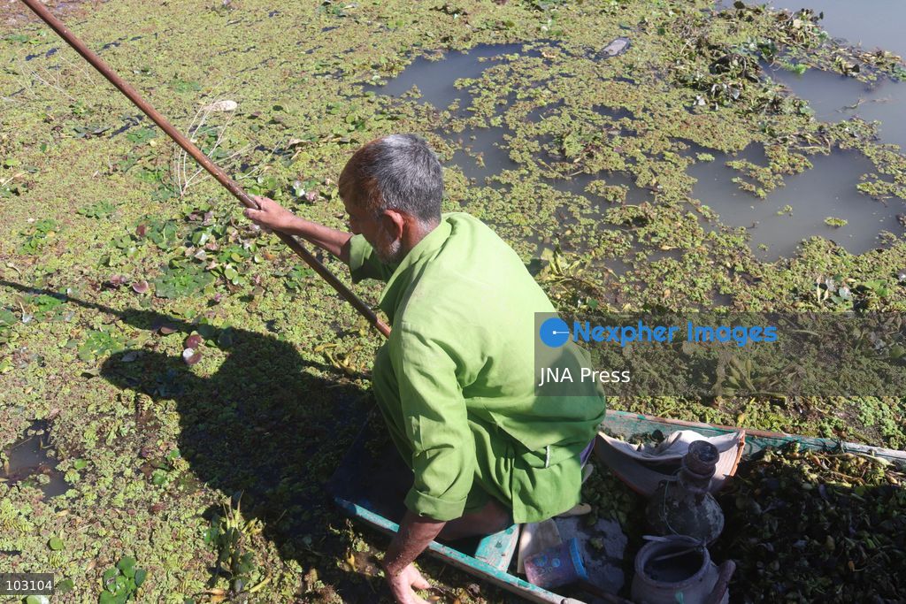 BANDIPORA, JAMMU AND KASHMIR, INDIA, OCTOBER 7, 2026: Workers harvest water chestnuts using traditional wooden boats and hand tools in the waterways of Bandipora, northern Kashmir. The seasonal harvest provides a source of income for local communities, with workers collecting the aquatic crop before cleaning, sorting and selling it in local markets. Water chestnut harvesting remains part of the region's traditional agricultural activities and rural livelihoods. Photo by Sakib Majeed Mir / JNA Press. (Photo by Sakib Majeed Mir/JNA Press via Nexpher Images)