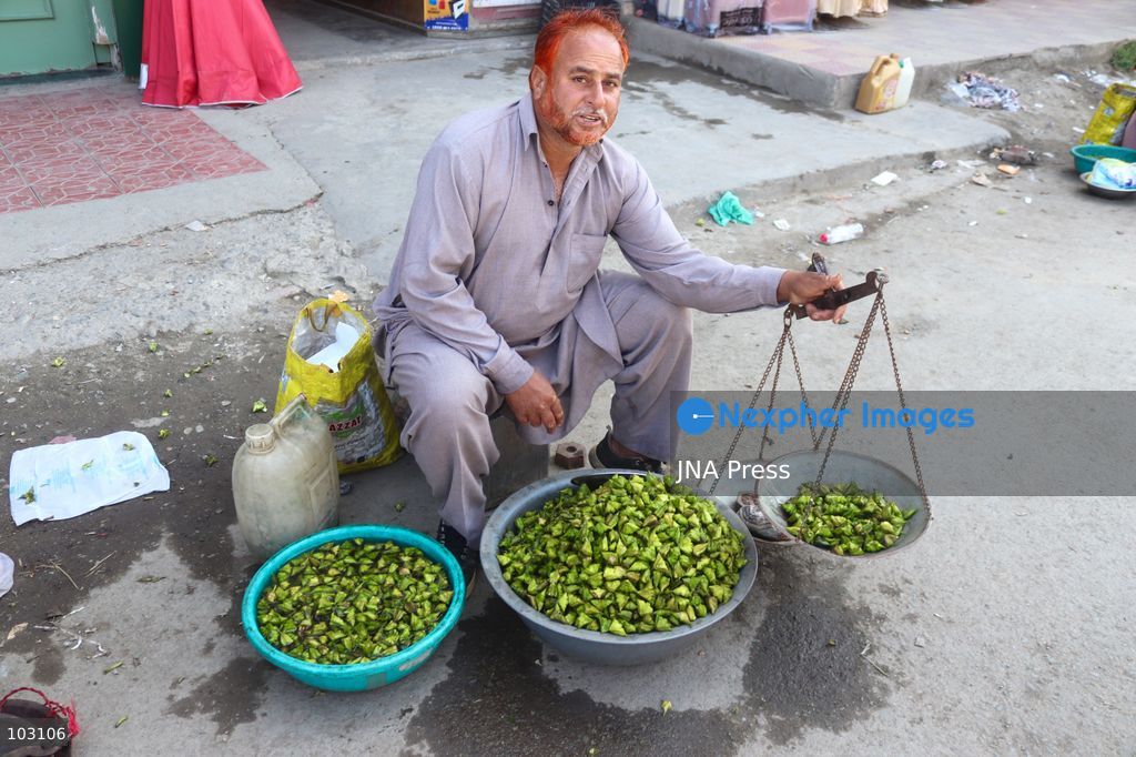 BANDIPORA, JAMMU AND KASHMIR, INDIA, OCTOBER 7, 2026: Workers harvest water chestnuts using traditional wooden boats and hand tools in the waterways of Bandipora, northern Kashmir. The seasonal harvest provides a source of income for local communities, with workers collecting the aquatic crop before cleaning, sorting and selling it in local markets. Water chestnut harvesting remains part of the region's traditional agricultural activities and rural livelihoods. Photo by Sakib Majeed Mir / JNA Press. (Photo by Sakib Majeed Mir/JNA Press via Nexpher Images)