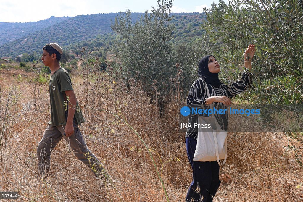 DEIR IBZI, OCCUPIED WEST BANK, OCTOBER 9, 2026: Israeli settlers confront Palestinian farmers, international activists and journalists during the annual olive harvest in the village of Deir Ibzi, west of Ramallah. According to the photographer, settlers attacked and harassed those accompanying the farmers, used pepper spray and prevented residents from completing the harvest on their agricultural land. The incident occurred during the olive harvest season, an important source of income for Palestinian farming communities in the occupied West Bank. Photo by Salman Mohsen Alkhatib / JNA Press (Photo by Salman Mohsen Alkhatib/JNA Press via Nexpher Images)