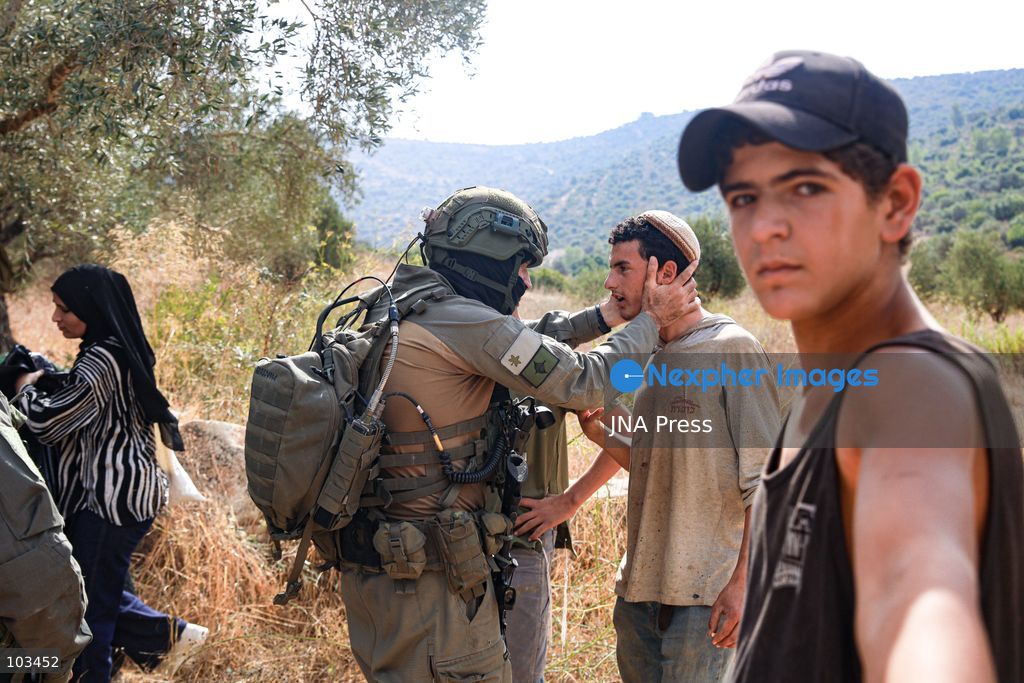 DEIR IBZI, OCCUPIED WEST BANK, OCTOBER 9, 2026: Israeli settlers confront Palestinian farmers, international activists and journalists during the annual olive harvest in the village of Deir Ibzi, west of Ramallah. According to the photographer, settlers attacked and harassed those accompanying the farmers, used pepper spray and prevented residents from completing the harvest on their agricultural land. The incident occurred during the olive harvest season, an important source of income for Palestinian farming communities in the occupied West Bank. Photo by Salman Mohsen Alkhatib / JNA Press (Photo by Salman Mohsen Alkhatib/JNA Press via Nexpher Images)