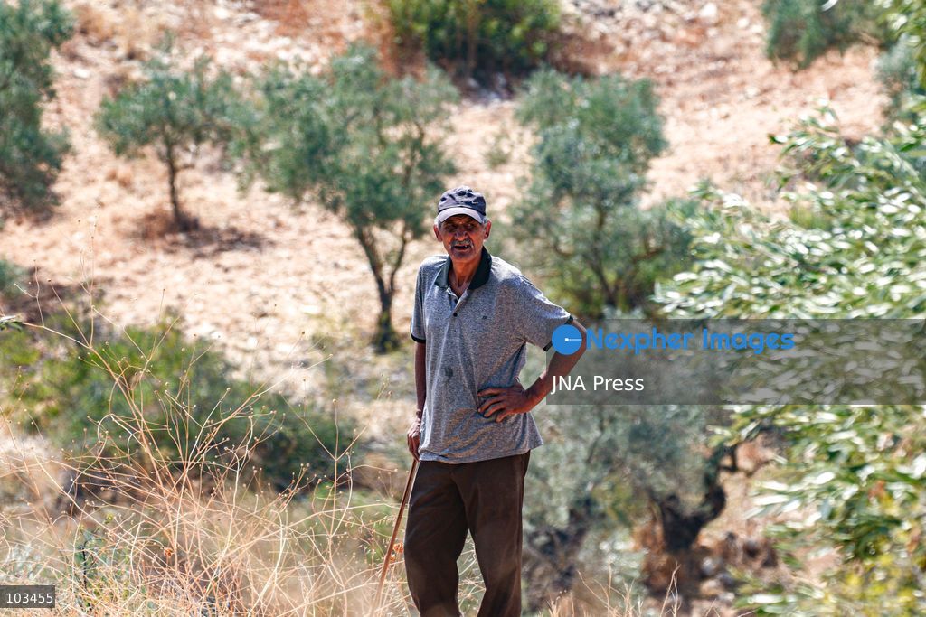 DEIR IBZI, OCCUPIED WEST BANK, OCTOBER 9, 2026: Israeli settlers confront Palestinian farmers, international activists and journalists during the annual olive harvest in the village of Deir Ibzi, west of Ramallah. According to the photographer, settlers attacked and harassed those accompanying the farmers, used pepper spray and prevented residents from completing the harvest on their agricultural land. The incident occurred during the olive harvest season, an important source of income for Palestinian farming communities in the occupied West Bank. Photo by Salman Mohsen Alkhatib / JNA Press (Photo by Salman Mohsen Alkhatib/JNA Press via Nexpher Images)