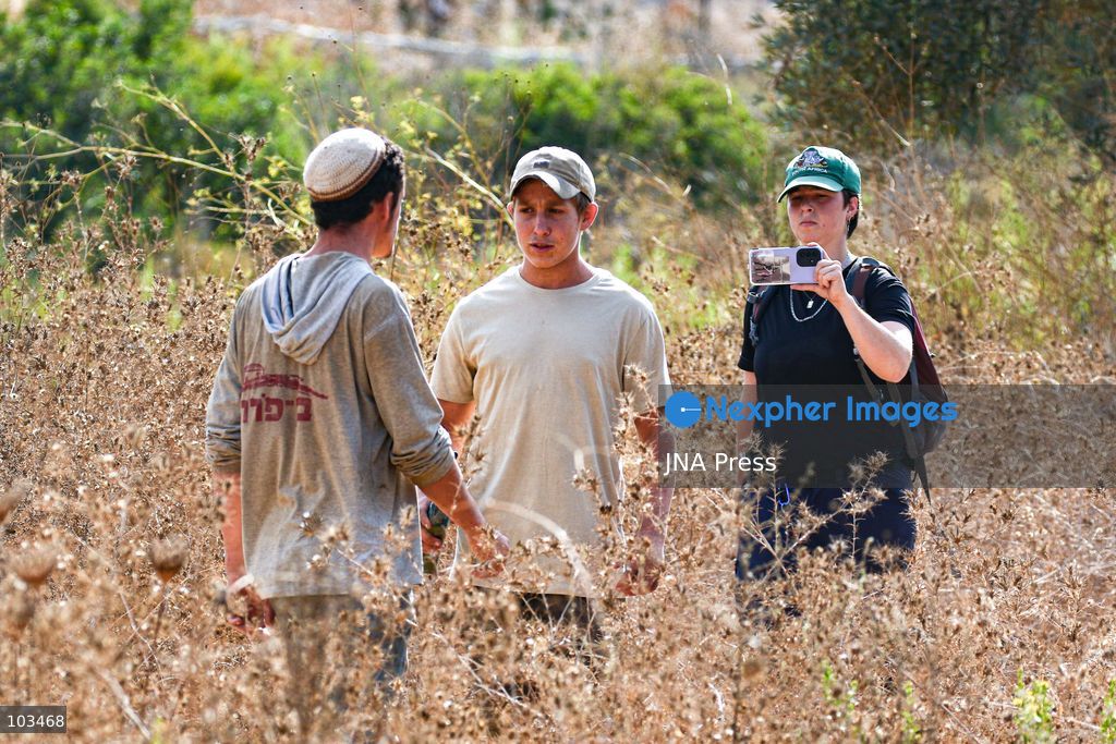 DEIR IBZI, OCCUPIED WEST BANK, OCTOBER 9, 2026: Israeli settlers confront Palestinian farmers, international activists and journalists during the annual olive harvest in the village of Deir Ibzi, west of Ramallah. According to the photographer, settlers attacked and harassed those accompanying the farmers, used pepper spray and prevented residents from completing the harvest on their agricultural land. The incident occurred during the olive harvest season, an important source of income for Palestinian farming communities in the occupied West Bank. Photo by Salman Mohsen Alkhatib / JNA Press (Photo by Salman Mohsen Alkhatib/JNA Press via Nexpher Images)