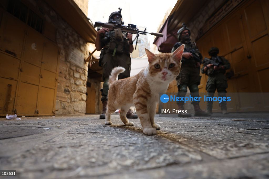 HEBRON, OCCUPIED WEST BANK, OCTOBER 10, 2026: Israeli settlers enter Hebron's Old City under the protection of Israeli forces during an organized visit to the area. Israeli soldiers deployed along streets and around the group as settlers moved through the Old City, where Israeli settlers and Palestinian residents live in close proximity amid longstanding tensions and movement restrictions. Photo by Mosab Shawer / JNA Press. (Photo by Mosab shawer/JNA Press via Nexpher Images)
