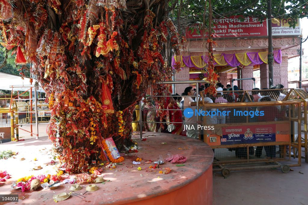 PRAYAGRAJ, INDIA, OCTOBER 11, 2026: Hindu devotees offer prayers to Goddess Alopshankari Devi at the Alopshankari Devi Temple in Prayagraj during celebrations for the nine-day Navratri festival. Worshippers gathered at the temple to perform puja and seek blessings during the Hindu festival dedicated to the worship of Goddess Durga and her manifestations. Photo by Jitendra Prakash / JNA Press. (Photo by Jitendra Prakash/JNA Press via Nexpher Images)