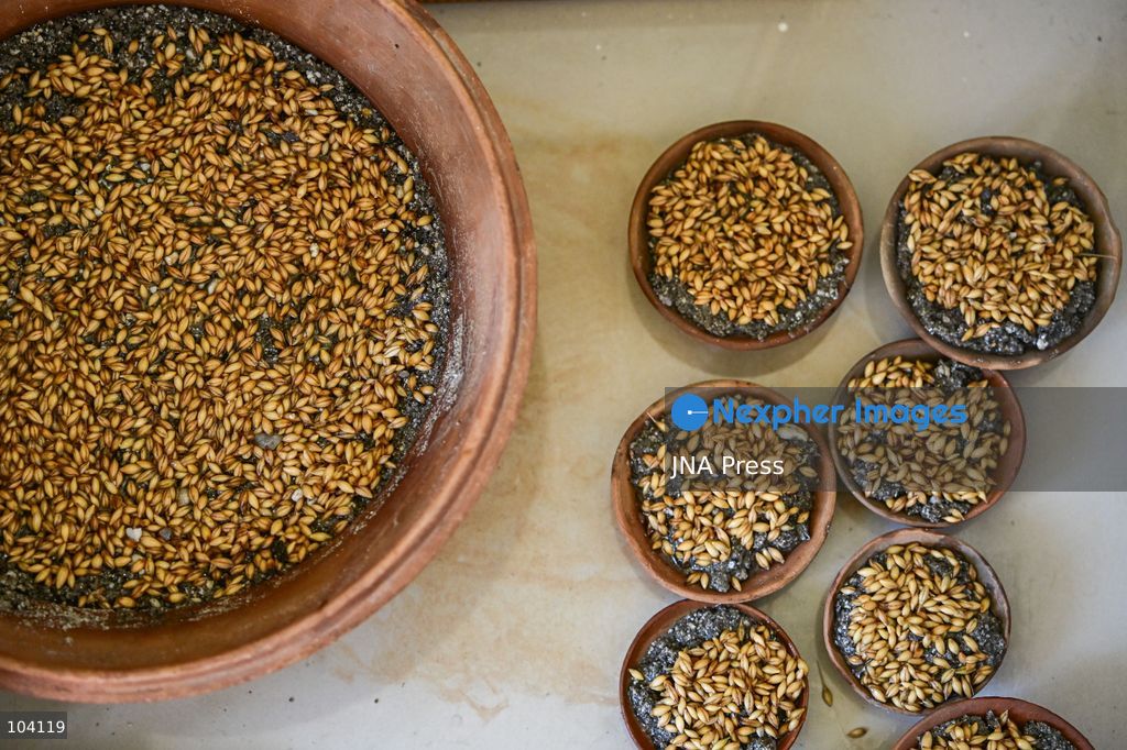 KATHMANDU, NEPAL, OCTOBER 11, 2026: A Hindu priest and Nepal Army personnel sow Jamara seeds during a Ghatasthapana ceremony marking the beginning of Dashain, Nepal's biggest Hindu festival, in Kathmandu. During the traditional ritual, barley and other grains are planted and kept away from sunlight to produce yellow shoots known as Jamara, which are later offered with tika as blessings during Bijaya Dashami. The 15-day Dashain festival began across Nepal as communities in Gorkha district faced disruption following severe flash flooding. Photo by Safal Prakash Shrestha / JNA Press. (Photo by Safal Prakash Shrestha/JNA Press via Nexpher Images)