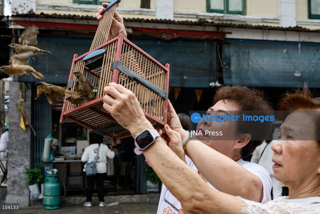 BANGKOK, THAILAND, OCTOBER 11, 2026: Devotees and performers take part in the annual deity procession organized by the Tiger God Shrine in Bangkok. The celebration features Chinese religious traditions including a procession of deities, Yingge performances, lion dances and dragon dances, as worshippers gather to pay respects and seek blessings. According to the shrine's tradition, the annual observance commemorates the day Tua Lao Eia Kong attained spiritual enlightenment. Photo by Watsawat Koktabtim / JNA Press. (Photo by Watsawat "James" Koktabtim/JNA Press via Nexpher Images)